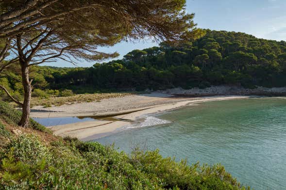 Barca per le cale Trebalúger o Escorxada