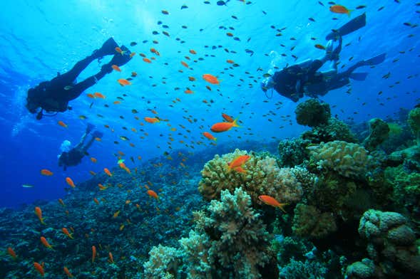 Immersione per principianti nella costa di Ciudadela