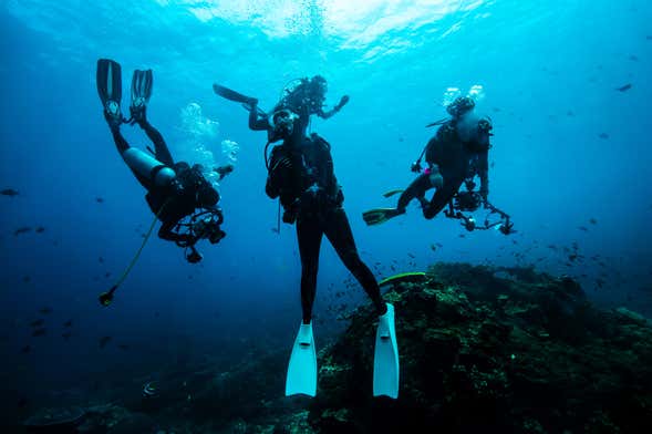 Corso di immersione PADI Open Water