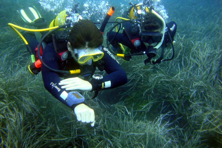 Prova di orientamento subacqueo