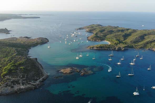 Transfer all'isola di Colom in motoscafo