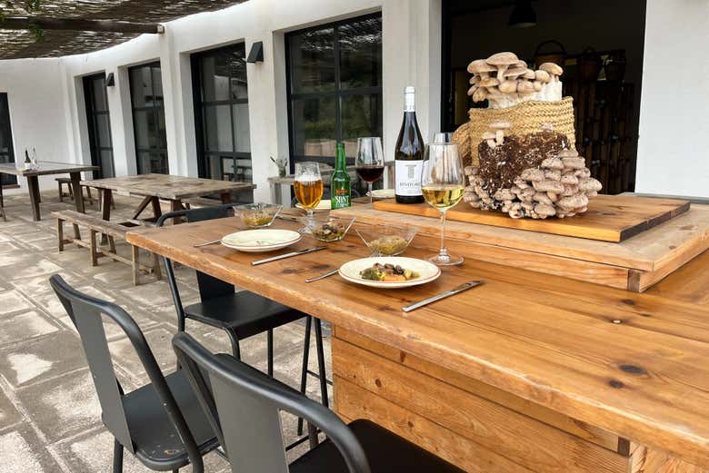 Tutto pronto per la degustazione