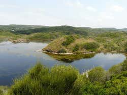 S'Albufera des Grau