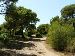 Raggiungendo Cala Macarella