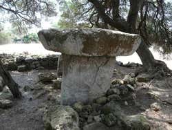 Torrellafuda, taula