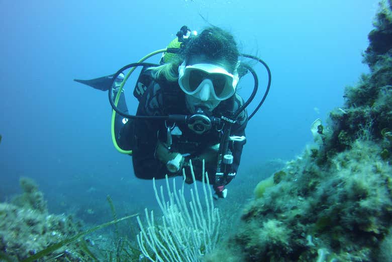 Snorleling a Minorca