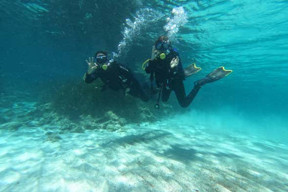 Immersione per principianti